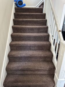Poseidon Carpet Cleaning clean staircase