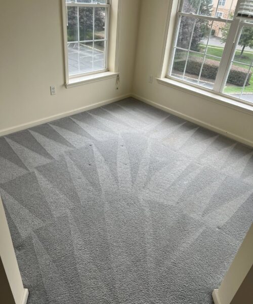 poseidon carpet